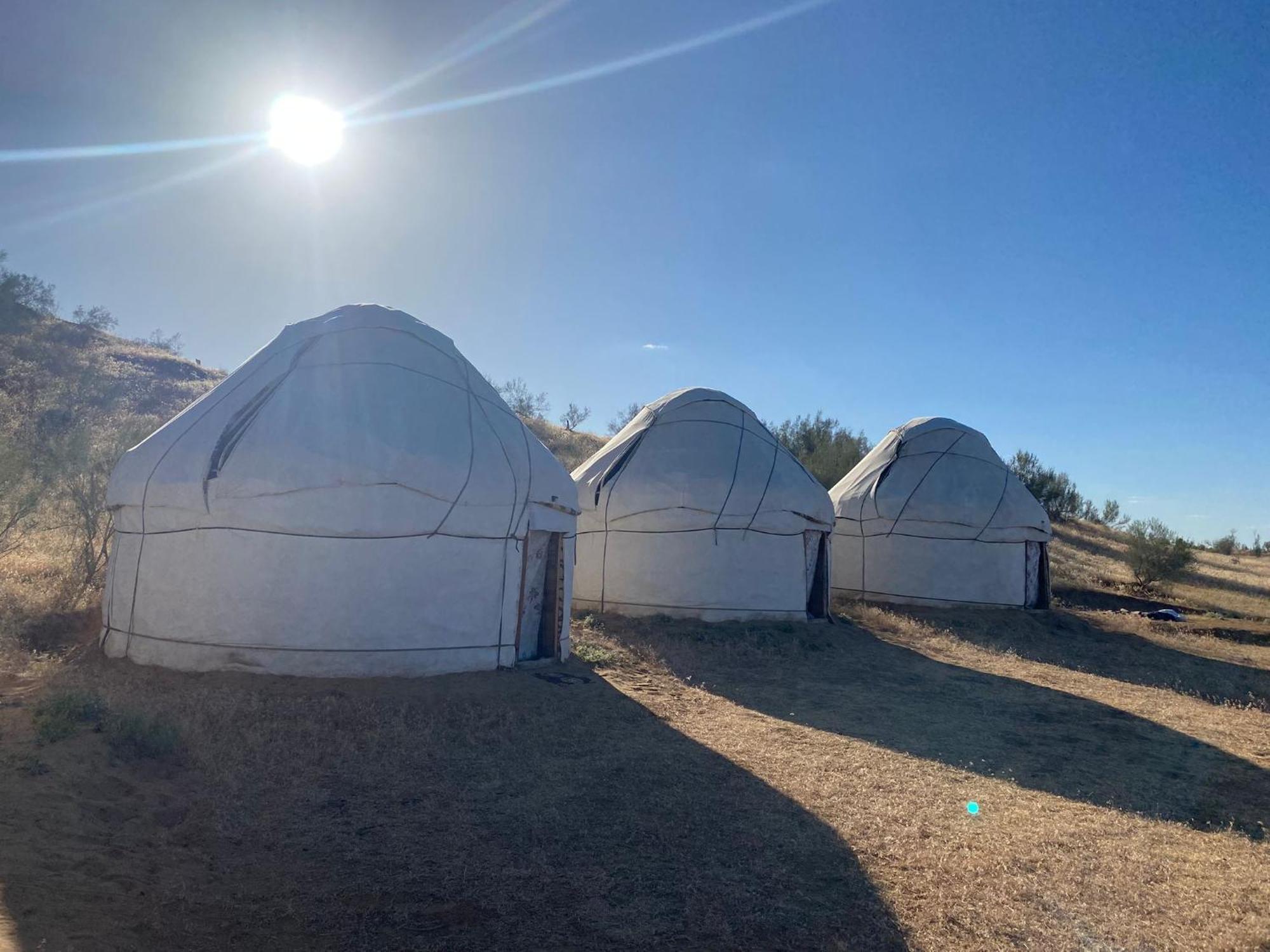 Hotel Authentic Uzbek Yurt Camp Eco-Friendly à Nurota Extérieur photo