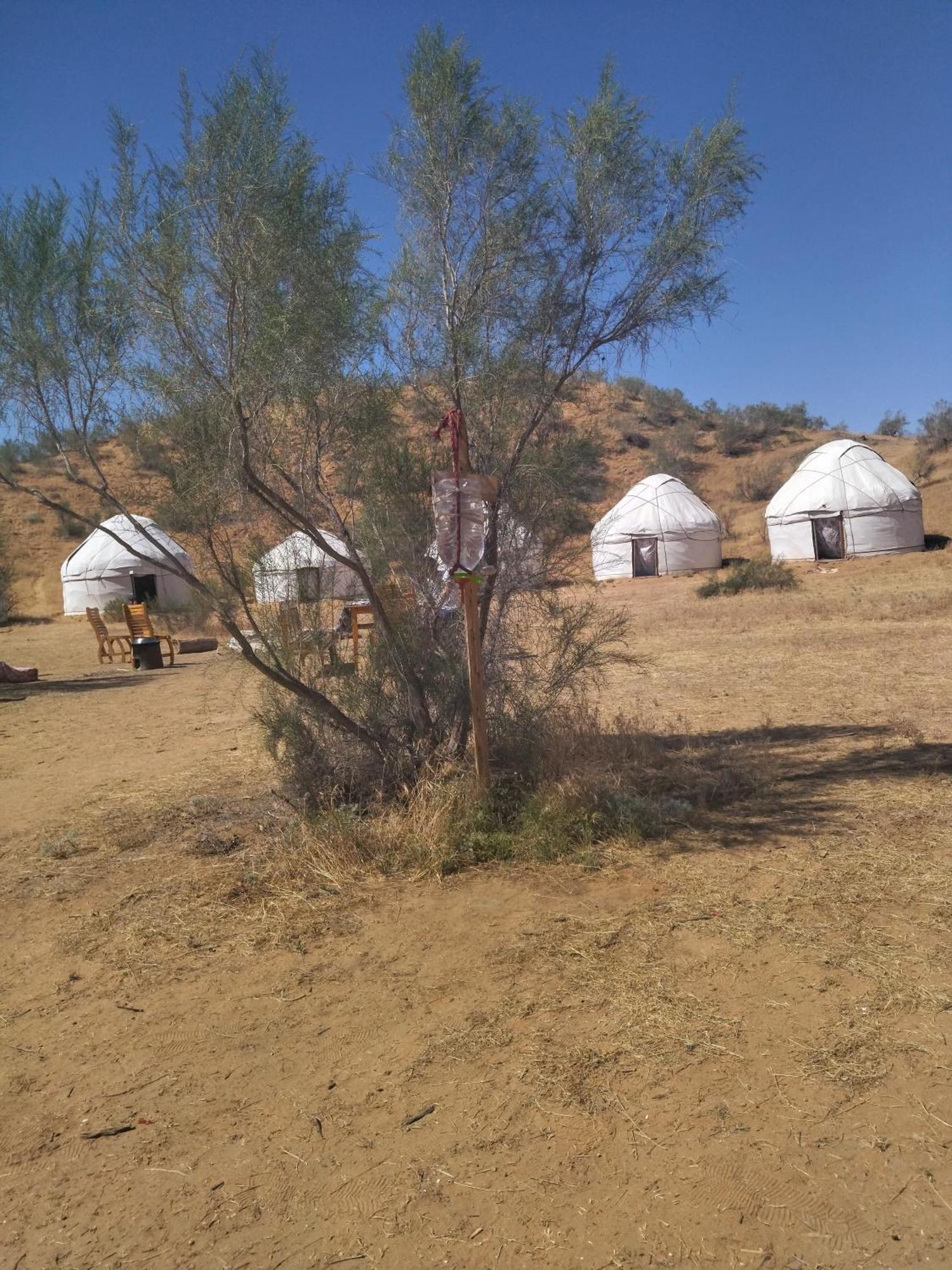 Hotel Authentic Uzbek Yurt Camp Eco-Friendly à Nurota Extérieur photo